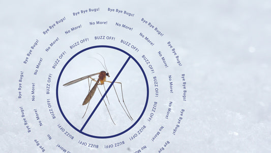 Winter is Coming: Are Mosquitoes Gone? - 2 Min. Read